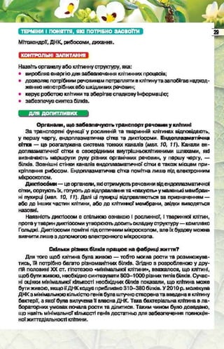 Підручник  з біології 6 клас, Костіков