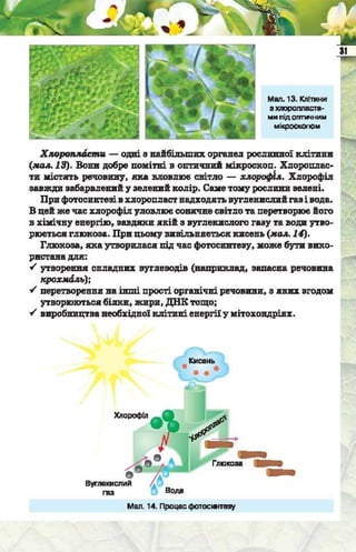 Підручник  з біології 6 клас, Костіков