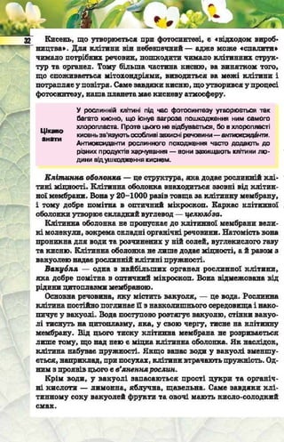 Підручник  з біології 6 клас, Костіков