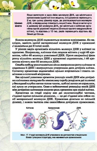 Підручник  з біології 6 клас, Костіков