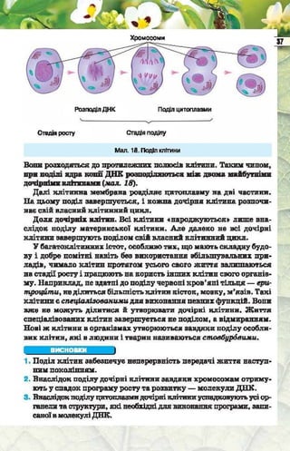 Підручник  з біології 6 клас, Костіков