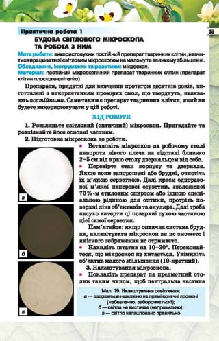 Підручник  з біології 6 клас, Костіков