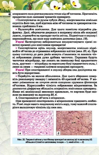 Підручник  з біології 6 клас, Костіков