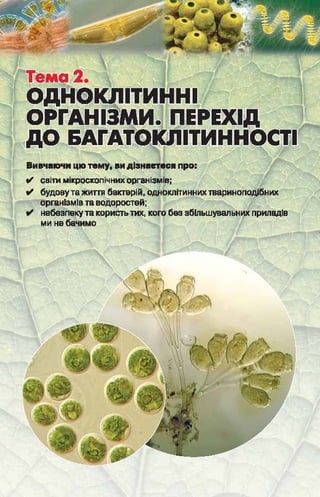 Підручник  з біології 6 клас, Костіков