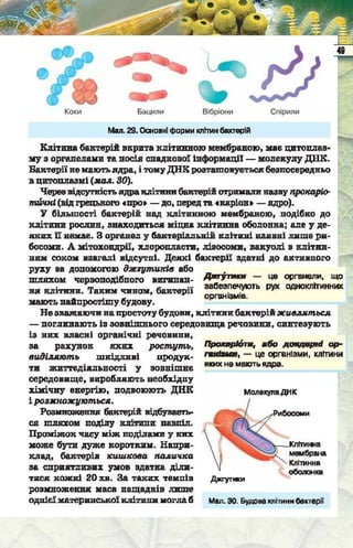Підручник  з біології 6 клас, Костіков