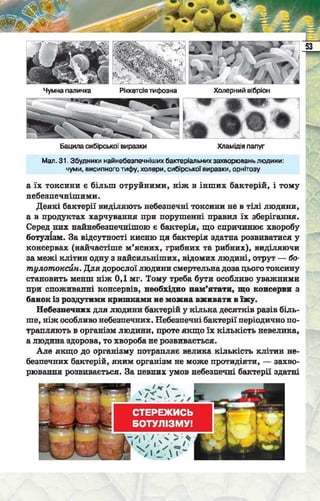Підручник  з біології 6 клас, Костіков