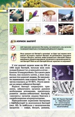 Підручник  з біології 6 клас, Костіков
