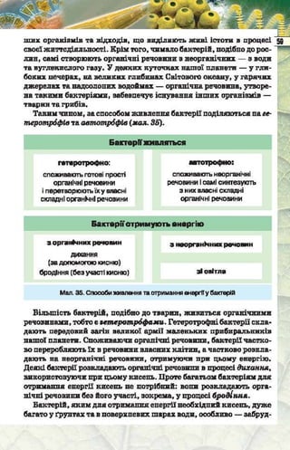 Підручник  з біології 6 клас, Костіков