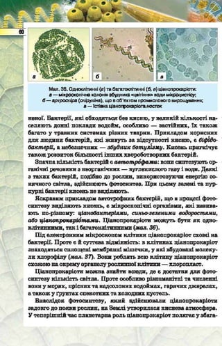 Підручник  з біології 6 клас, Костіков