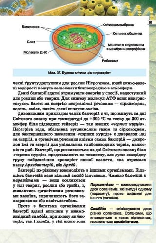 Підручник  з біології 6 клас, Костіков