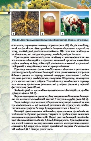 Підручник  з біології 6 клас, Костіков