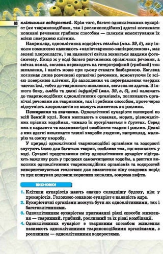 Підручник  з біології 6 клас, Костіков