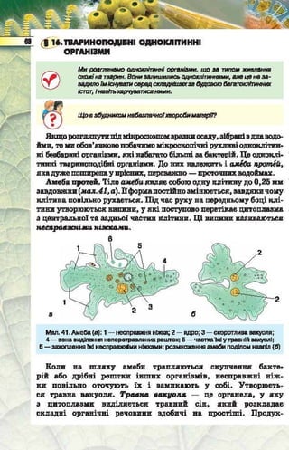 Підручник  з біології 6 клас, Костіков