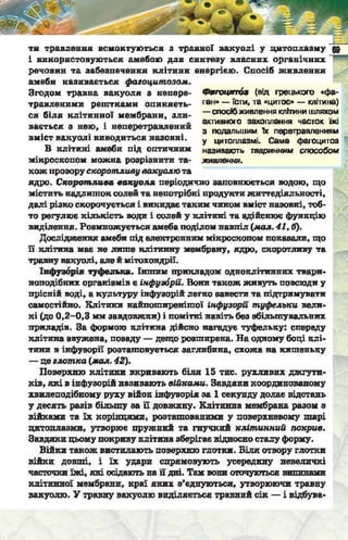 Підручник  з біології 6 клас, Костіков