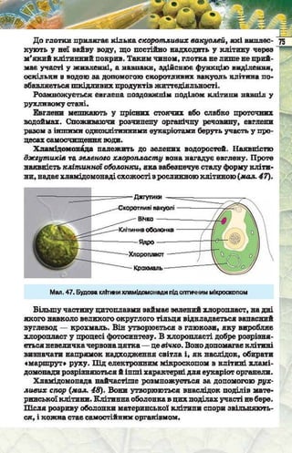 Підручник  з біології 6 клас, Костіков