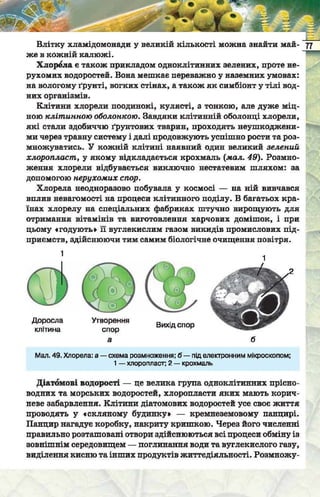 Підручник  з біології 6 клас, Костіков