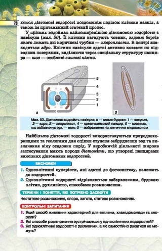 Підручник  з біології 6 клас, Костіков