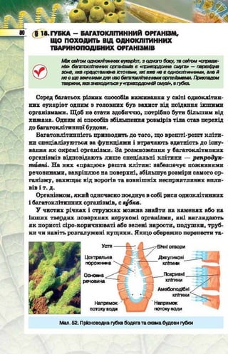 Підручник  з біології 6 клас, Костіков