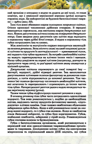 Підручник  з біології 6 клас, Костіков