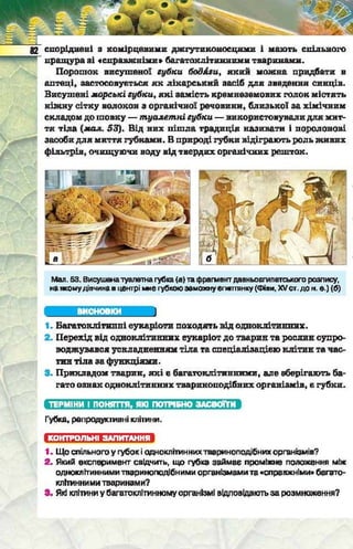 Підручник  з біології 6 клас, Костіков