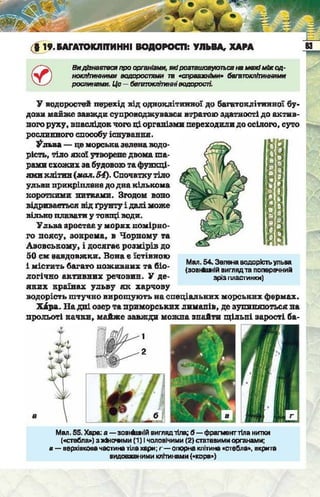 Підручник  з біології 6 клас, Костіков