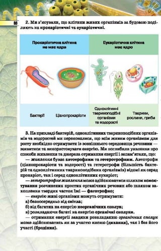 Підручник  з біології 6 клас, Костіков