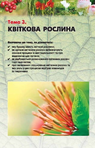 Підручник  з біології 6 клас, Костіков