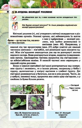 Підручник  з біології 6 клас, Костіков