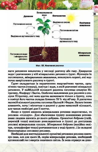 Підручник  з біології 6 клас, Костіков