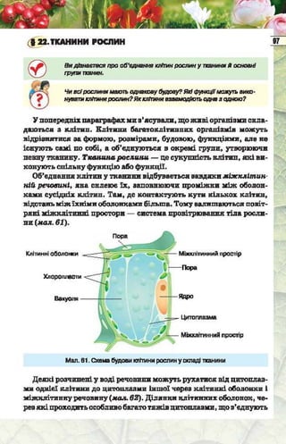 Підручник  з біології 6 клас, Костіков