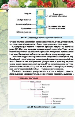 Підручник  з біології 6 клас, Костіков