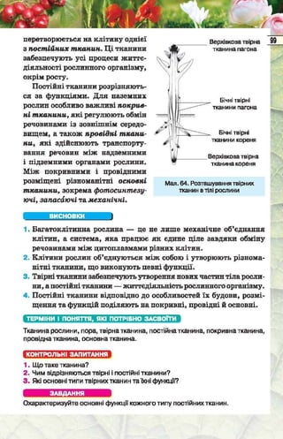 Підручник  з біології 6 клас, Костіков