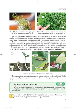9
Мал. 7. Положення листочків мімози соромли-
вої у спокійному стані (1) та після дотику (2)
2
1
Мал. 6. Подразливість: рослини реагують
на світло, змінюючи напрямок росту
Óñі îðãàíіçìè ðîñòóòü, çáіëüøóþ÷è ñâîї ðîçìіðè òà ìàñó. Ïðè öüîìó
îäíі ç íèõ (íàïðèêëàä, äåðåâà, ÷àãàðíèêè) ðîñòóòü ïðîòÿãîì óñüîãî æèò-
òÿ, à іíøі (íàïðèêëàä, ïòàõè, ëþäèíà) – óïðîäîâæ ëèøå ïåâíîãî ÷àñó.
Ïîãëÿíüòå íà ìàëþíîê 8. Ç íåâåëèêîї íàñіíèíè, âèñàäæåíîї â ґðóíò,
âèðîñòàє ðîñëèíà. ×åðâîïîäіáíà ãóñіíü, ùî æèâèòüñÿ ëèñòêàìè ðîñëèí,
÷åðåç ïåâíèé ÷àñ ñòàє íåðóõîìîþ ëÿëå÷êîþ. Ç íåї ïîòіì ðîçâèâàєòüñÿ
êðèëàòèé ìåòåëèê, ÿêèé ñïîæèâàє íåêòàð êâіòîê. Öі ïðèêëàäè ñâіä-
÷àòü ïðî ùå îäíó âëàñòèâіñòü îðãàíіçìіâ – çäàòíіñòü äî ðîçâèòêó.
Мал. 8. Ріст і розвиток рослини (1) і тварини (2)
21
Óñі îðãàíіçìè ðîçìíîæóþòüñÿ, âіäòâîðþþ÷è ñîáі ïîäіáíèõ. ßêáè
öüîãî íå âіäáóâàëîñÿ, æèòòÿ íà íàøіé ïëàíåòі ÷åðåç ïåâíèé ÷àñ çíèê-
ëî á.
ÓÇÀÃÀËÜÍÈÌÎ ÇÍÀÍÍß
Організми відрізняються від тіл неживої природи хімічним складом, клітин-
ною будовою, здатністю живитися, дихати, рухатися, розмножуватися, рости й
розвиватися.
Ïîïîâíіòü ñâіé áіîëîãі÷íèé ñëîâíèê: æèâëåííÿ, äèõàííÿ, ðóõ,
ðіñò, ðîçâèòîê, ðîçìíîæåííÿ, ïîäðàçëèâіñòü.
ãóñіíü
ëÿëå÷êà
ìåòåëèê
(014-13)_V1.indd 9 14.07.2014 14:04:47
 