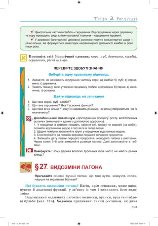 103
Центральна частина стебла – серцевина. Від серцевини через деревину
та кору проходять ряди клітин основної тканини – серцевинні промені.
У деревині багаторічної деревної рослини помітні концентричні шари –
річні кільця, які формуються внаслідок нерівномірної діяльності камбію в різні
пори року.
Ïîïîâíіòü ñâіé áіîëîãі÷íèé ñëîâíèê: êîðà, ëóá, äåðåâèíà, êàìáіé,
ñåðöåâèíà, ðі÷íі êіëüöÿ.
ПЕРЕВІРТЕ ЗДОБУТІ ЗНАННЯ
Виберіть одну правильну відповідь
1. Зазначте, як називають внутрішню частину кори: а) камбій; б) луб; в) серце-
вина; г) деревина.
2. Укажіть тканину, якою утворено серцевину стебла: а) провідна; б) твірна; в) меха-
нічна; г) основна.
Дайте відповідь на запитання
1. Що таке корок, луб і камбій?
2. Що таке серцевина? Яка її основна функція?
3. Що таке річні кільця? Чому їх називають річними, як вони утворюються і як їх
визначають?
Дослідницький практикум «Дослідження процесу росту вегетативних
органів» (виконувати вдома з допомогою дорослих).
1. У горщечки із землею посадіть насіння сої, гороху чи квасолі (на вибір),
полийте відстояною водою і поставте в тепле місце.
2. Щодня помірно зволожуйте ґрунт у горщечках відстояною водою.
3. Спостерігайте за появою верхівки першого зеленого проростка.
4. Запишіть дату появи першого проростка, молодого пагона з листками.
Через кожні 5–8 днів вимірюйте розміри пагона. Дані занотовуйте в таб-
лиці.
Поміркуйте! Чому дерева вологих тропічних лісів часто не мають річних
кілець?
§ 27. ВИДОЗМІНИ ПАГОНА
Пригадайте основні функції пагона. Що таке вузли, міжвузля, сплячі,
пазушні та верхівкова бруньки?
ßêі áóâàþòü âèäîçìіíè ïàãîíà? Ïàãіí, êðіì îñíîâíèõ, ìîæå âèêî-
íóâàòè é äîäàòêîâі ôóíêöії, ó çâ’ÿçêó іç ÷èì і âèíèêàþòü éîãî âèäî-
çìіíè.
Âèäîçìіíàìè íàäçåìíèõ ïàãîíіâ є êîëþ÷êè, âóñèêè, âóñà òà ñòåáëî-
âі áóëüáè (ìàë. 114). Êîëþ÷êè ïðèòàìàííі òàêèì ðîñëèíàì, ÿê äèêà
(014-13)_V1.indd 103 14.07.2014 14:05:10
 