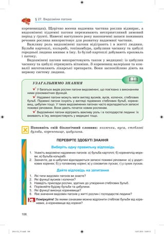 106
§ 27. Видозміни пагона
êîðåíåâèùàõ). Ùîðі÷íî âîñåíè íàäçåìíà ÷àñòèíà ðîñëèí âіäìèðàє, à
âèäîçìіíåíі ïіäçåìíі ïàãîíè ïåðåæèâàþòü íåñïðèÿòëèâèé çèìîâèé
ïåðіîä ó ґðóíòі. Íàâåñíі íàñòóïíîãî ðîêó íàêîïè÷åíі çàïàñè ïîæèâíèõ
ðå÷îâèí ðîñëèíà âèêîðèñòîâóє äëÿ ðîçâèòêó íàäçåìíîї ÷àñòèíè.
Âàæëèâó ðîëü âèäîçìіíåíі ïàãîíè âіäіãðàþòü і â æèòòі ëþäèíè.
Áóëüáè êàðòîïëі, êîëüðàáі, òîïіíàìáóðà, öèáóëèíè ÷àñíèêó òà öèáóëі
ãîðîäíüîї ëþäèíà âæèâàє â їæó. Іç áóëüá êàðòîïëі äîáóâàþòü êðîõìàëü
і ïàòîêó.
Âèäîçìіíåíі ïàãîíè âèêîðèñòîâóþòü òàêîæ ó ìåäèöèíі: іç öèáóëèí
÷àñíèêó òà öèáóëі îòðèìóþòü âіòàìіíè. Ç êîðåíåâèù âàëåðіàíè òà êîí-
âàëії âèãîòîâëÿþòü ëіêàðñüêі ïðåïàðàòè. Âîíè çàñïîêіéëèâî äіþòü íà
íåðâîâó ñèñòåìó ëþäèíè.
ÓÇÀÃÀËÜÍÈÌÎ ÇÍÀÍÍß
У багатьох видів рослин пагони видозмінені, що пов’язано з виконанням
ними різноманітних функцій.
Надземні пагони можуть мати вигляд вусиків, вусів, колючок, стеблових
бульб. Підземні пагони існують у вигляді підземних стеблових бульб, корене-
вищ, цибулин тощо. У таких видозмінених пагонах часто відкладаються запасні
поживні речовини. Вони дають початок новим рослинам.
Видозмінені пагони відіграють важливу роль і в господарстві людини: їх
вживають в їжу, використовують у медицині тощо.
Ïîïîâíіòü ñâіé áіîëîãі÷íèé ñëîâíèê: êîëþ÷êè, âóñà, ñòåáëîâі
áóëüáè, êîðåíåâèùå, öèáóëèíà.
ПЕРЕВІРТЕ ЗДОБУТІ ЗНАННЯ
Виберіть одну правильну відповідь
1. Укажіть видозміни надземних пагонів: а) бульба картоплі; б) коренеплід морк-
ви; в) бульба кольрабі.
2. Зазначте, де в цибулині відкладаються запасні поживні речовини: а) у додат-
кових коренях; б) у головному корені; в) у соковитих лусках; г) у сухих лусках.
Дайте відповідь на запитання
1. Які типи видозмін пагонів ви знаєте?
2. Які функції вусиків і колючок?
3. Наведіть приклади рослин, здатних до утворення стеблових бульб.
4. Порівняйте будову бульби та цибулини.
5. Які функції виконує кореневище?
6. Яке значення видозмін пагонів у житті рослин і господарстві людини?
Поміркуйте! За якими ознаками можна відрізнити стеблові бульби від коре-
невих, а кореневище від кореня?
(014-13)_V1.indd 106 14.07.2014 14:05:11
 