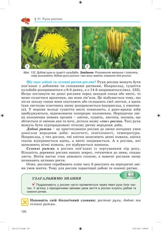 120
§ 31. Рухи рослин
Мал. 132. Добові рухи в суцвітті кульбаби. Завдання. Розгляньте малюнок і поясніть,
чому виникають добові рухи рослин і яке вони мають значення для рослин
1 2
Ùî òàêå äîáîâі òà ñåçîííі ðèòìè ðîñëèí? Ðóõè ðîñëèí ìîæóòü áóòè
ïîâ’ÿçàíі ç äîáîâèìè ÷è ñåçîííèìè ðèòìàìè. Íàïðèêëàä, ñóöâіòòÿ
êóëüáàáè ðîçêðèâàþòüñÿ î 6-é ðàíêó, à î 14-é çàêðèâàþòüñÿ (ìàë. 132).
ßêùî ïîãëÿíóòè íà äåÿêі ðîñëèíè ïåðåä çàõîäîì ñîíöÿ àáî âíî÷і, òî
ìîæå ñêëàñòèñÿ âðàæåííÿ, ùî âîíè çіâ’ÿëè. Öå âіäáóâàєòüñÿ òîìó, ùî
ïіñëÿ çàõîäó ñîíöÿ âîíè îïóñêàþòü àáî ñêëàäàþòü ñâîї ëèñòêè, à âäåíü
їõíÿ ëèñòêîâà ïëàñòèíêà çíîâó ðîçïðàâëÿєòüñÿ (íàïðèêëàä, ó êâàñåíè-
öі). Ó ìîðêâè ìîëîäі ñóöâіòòÿ âíî÷і ïîíèêàþòü, à ðàíî-âðàíöі íіáè
ïðîáóäæóþòüñÿ, âіäíîâëþþ÷è ïîïåðåäíє ïîëîæåííÿ. Ïåðіîäè÷íà çìі-
íà ïîëîæåííÿ ïåâíèõ îðãàíіâ – êâіòîê, ñóöâіòü, ëèñòêіâ, ïàãîíіâ, ùî
çáіãàєòüñÿ çі çìіíîþ äíÿ òà íî÷і, äіñòàëà íàçâó «ñîí» ðîñëèí. Òàêі ðóõè
ìîæóòü áóòè ïіäïîðÿäêîâàíі ÷іòêîìó ðèòìó âïðîäîâæ äîáè.
Äîáîâі ðèòìè – öå ïðèñòîñóâàííÿ ðîñëèí äî çìіíè ïîãîäíèõ óìîâ
äîâêіëëÿ âïðîäîâæ äîáè: âîëîãîñòі, îñâіòëåíîñòі, òåìïåðàòóðè.
Íàïðèêëàä, ó òèõ ðîñëèí, ÷èї êâіòêè çàïèëþþòü äåííі êîìàõè, êâіòêà
òàêîæ âіäêðèâàєòüñÿ âäåíü, à âíî÷і çàêðèâàєòüñÿ. À â ðîñëèí, ÿêі
çàïèëþþòü íі÷íі êîìàõè, óñå âіäáóâàєòüñÿ íàâïàêè.
Ñåçîííі ðèòìè â ðîñëèí ïîâ’ÿçàíі іç ÷åðãóâàííÿì ïіð ðîêó.
Áіëüøіñòü äåðåâíèõ ðîñëèí íàøèõ øèðîò, ãîòóþ÷èñÿ äî çèìè, ñêèäàє
ëèñòÿ. Ïîòіì íàñòàє ñòàí çèìîâîãî ñïîêîþ, à íàâåñíі ðîñëèíè çíîâó
ïî÷èíàþòü àêòèâíî ðîñòè.
Îòæå, ðîñëèíè ñïðèéìàþòü ïëèí ÷àñó é ðåàãóþòü íà ïåðіîäè÷íі çìі-
íè óìîâ æèòòÿ. Òîìó äëÿ ðîñëèí õàðàêòåðíі äîáîâі òà ñåçîííі ðèòìè.
ÓÇÀÃÀËÜÍÈÌÎ ÇÍÀÍÍß
Подразливість у рослин часто проявляється через певні рухи їхніх час-
тин. У зв’язку з періодичними змінами умов життя в рослин існують добові та
сезонні ритми.
Ïîïîâíіòü ñâіé áіîëîãі÷íèé ñëîâíèê: ðîñòîâі ðóõè, äîáîâі òà
ñåçîííі ðèòìè.
(014-13)_V2.indd 120 14.07.2014 13:09:40
 