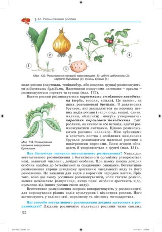 122
§ 32. Розмноження рослин
1
2
3
4
Мал. 133. Розмноження конвалії кореневищем (1); цибулі цибулиною (2);
картоплі бульбами (3); суниць вусами (4)
âèäè ðîñëèí (êàðòîïëÿ, òîïіíàìáóð, àáî çåìëÿíà ãðóøà) ðîçìíîæóþòü-
ñÿ ïіäçåìíèìè áóëüáàìè. Íàçåìíèìè ïîâçó÷èìè ïàãîíàìè – âóñàìè –
ðîçìíîæóþòüñÿ ïåðñòà÷ òà ñóíèöі (ìàë. 133).
Áàãàòî ðîñëèí ðîçìíîæóþòüñÿ ïàðîñòêàìè ñòåáëîâîãî ïîõîäæåí-
íÿ (âåðáà, òîïîëÿ, âіëüõà). Öå ïàãîíè, íà
ÿêèõ ðîçòàøîâàíі áðóíüêè. Ç äîäàòêîâèõ
áðóíüîê, ÿêі çàêëàäàþòüñÿ íà êîðåíÿõ ïåâ-
íèõ âèäіâ ðîñëèí (íàïðèêëàä, âèøíі, ñëèâè,
ìàëèíè, îáëіïèõè), ìîæóòü óòâîðþâàòèñÿ
ïàðîñòêè êîðåíåâîãî ïîõîäæåííÿ. Òàêі
ðîñëèíè, ÿê ñåíïîëіÿ àáî áåãîíіÿ, çäàòíі ðîç-
ìíîæóâàòèñÿ ëèñòêàìè. Öіêàâî ðîçìíîæó-
þòüñÿ ðîñëèíè êàëàíõîå. Ìіæ çóá÷èêàìè
ì’ÿñèñòîãî ëèñòêà ç îñîáëèâèõ âèâіäêîâèõ
áðóíüîê ðîçâèâàþòüñÿ ìàëåíüêі ðîñëèíè ç
ïîâіòðÿíèìè êîðåíÿìè. Âîíè çãîäîì îáïà-
äàþòü é óêîðіíþþòüñÿ â ґðóíòі (ìàë. 134).
ßêå áіîëîãі÷íå çíà÷åííÿ âåãåòàòèâíîãî ðîçìíîæåííÿ? Óíàñëіäîê
âåãåòàòèâíîãî ðîçìíîæåííÿ ç áàòüêіâñüêîãî îðãàíіçìó óòâîðþþòüñÿ
íîâі, çàçâè÷àé ÷èñëåííі, äî÷іðíі îñîáèíè. Ïðè öüîìó êîæíà äî÷іðíÿ
îñîáèíà ïîäіáíà äî áàòüêіâñüêîї çà ñïàäêîâèìè îçíàêàìè. Âåãåòàòèâíå
ðîçìíîæåííÿ ñïðèÿє øâèäêîìó çðîñòàííþ ÷èñåëüíîñòі âèäó òà éîãî
ðîçñåëåííþ. Öå âàæëèâî äëÿ âèäіâ ç êîðîòêèì ïåðіîäîì æèòòÿ. Êðіì
òîãî, âîíî äàє çìîãó ðîñëèíàì ðîçìíîæóâàòèñÿ, êîëè ñòàòåâå ðîçìíî-
æåííÿ íåìîæëèâå (íàïðèêëàä, ÿêùî ïåâíі îñîáèíè çðîñòàþòü âіäî-
êðåìëåíî âіä іíøèõ ðîñëèí ñâîãî âèäó).
Âåãåòàòèâíå ðîçìíîæåííÿ øèðîêî âèêîðèñòîâóþòü ó ðîñëèííèöòâі
äëÿ âèðîùóâàííÿ ðіçíèõ âèäіâ êóëüòóðíèõ і êіìíàòíèõ ðîñëèí. Éîãî
çàñòîñîâóþòü ó ñàäіâíèöòâі, ïàðêîâîìó òà ëіñîâîìó ãîñïîäàðñòâàõ.
ßêі ñïîñîáè âåãåòàòèâíîãî ðîçìíîæåííÿ ëþäèíà çàñòîñîâóє â ðîñ-
ëèííèöòâі? Ëþäèíà ðîçìíîæóє êóëüòóðíі ðîñëèíè òèìè ñàìèìè
Мал. 134. Розмноження
каланхое вивідковими
бруньками
(014-13)_V2.indd 122 14.07.2014 13:09:40
 
