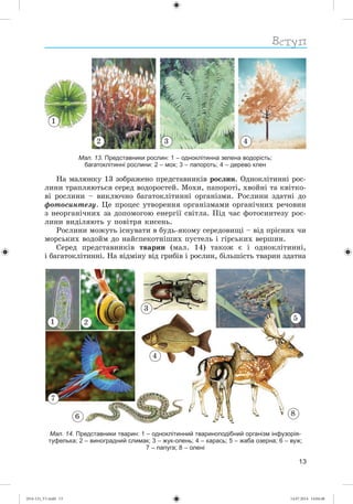 (014-13)_V1.indd 13 14.07.2014 14:04:48
 