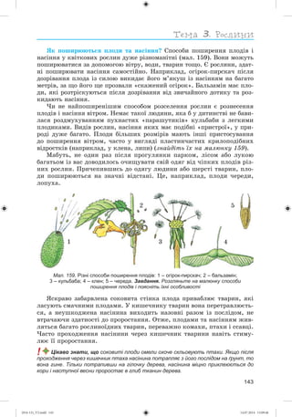 143
ßê ïîøèðþþòüñÿ ïëîäè òà íàñіííÿ? Ñïîñîáè ïîøèðåííÿ ïëîäіâ і
íàñіííÿ ó êâіòêîâèõ ðîñëèí äóæå ðіçíîìàíіòíі (ìàë. 159). Âîíè ìîæóòü
ïîøèðþâàòèñÿ çà äîïîìîãîþ âіòðó, âîäè, òâàðèí òîùî. Є ðîñëèíè, çäàò-
íі ïîøèðþâàòè íàñіííÿ ñàìîñòіéíî. Íàïðèêëàä, îãіðîê-ïèðñêà÷ ïіñëÿ
äîçðіâàííÿ ïëîäà іç ñèëîþ âèêèäàє éîãî ì’ÿêóø іç íàñіííÿì íà áàãàòî
ìåòðіâ, çà ùî éîãî ùå ïðîçâàëè «ñêàæåíèé îãіðîê». Áàëüçàìіí ìàє ïëî-
äè, ÿêі ðîçòðіñêóþòüñÿ ïіñëÿ äîçðіâàííÿ âіä çâè÷àéíîãî äîòèêó òà ðîç-
êèäàþòü íàñіííÿ.
×è íå íàéïîøèðåíіøèì ñïîñîáîì ðîçñåëåííÿ ðîñëèí є ðîçíåñåííÿ
ïëîäіâ і íàñіííÿ âіòðîì. Íåìàє òàêîї ëþäèíè, ÿêà á ó äèòèíñòâі íå áàâè-
ëàñÿ ðîçäìóõóâàííÿì ïóõíàñòèõ «ïàðàøóòèêіâ» êóëüáàáè ç ëåãêèìè
ïëîäèêàìè. Âèäіâ ðîñëèí, íàñіííÿ ÿêèõ ìàє ïîäіáíі «ïðèñòðîї», ó ïðè-
ðîäі äóæå áàãàòî. Ïëîäè áіëüøèõ ðîçìіðіâ ìàþòü іíøі ïðèñòîñóâàííÿ
äî ïîøèðåííÿ âіòðîì, ÷àñòî ó âèãëÿäі ïëàñòèí÷àñòèõ êðèëîïîäіáíèõ
âіäðîñòêіâ (íàïðèêëàä, ó êëåíà, ëèïè) (çíàéäіòü їõ íà ìàëþíêó 159).
Ìàáóòü, íå îäèí ðàç ïіñëÿ ïðîãóëÿíêè ïàðêîì, ëіñîì àáî ëóêîþ
áàãàòüîì іç âàñ äîâîäèëîñü î÷èùóâàòè ñâіé îäÿã âіä ÷іïêèõ ïëîäіâ ðіç-
íèõ ðîñëèí. Ïðè÷åïèâøèñü äî îäÿãó ëþäèíè àáî øåðñòі òâàðèí, ïëî-
äè ïîøèðþþòüñÿ íà çíà÷íі âіäñòàíі. Öå, íàïðèêëàä, ïëîäè ÷åðåäè,
ëîïóõà.
Мал. 159. Різні способи поширення плодів: 1 – огірок-пирскач; 2 – бальзамін;
3 – кульбаба; 4 – клен; 5 – череда. Завдання. Розгляньте на малюнку способи
поширення плодів і поясніть їхні особливості
ßñêðàâî çàáàðâëåíà ñîêîâèòà ñòіíêà ïëîäà ïðèâàáëþє òâàðèí, ÿêі
ëàñóþòü ñìà÷íèìè ïëîäàìè. Ó êèøå÷íèêó òâàðèí âîíà ïåðåòðàâëþєòü-
ñÿ, à íåóøêîäæåíà íàñіíèíà âèõîäèòü íàçîâíі ðàçîì іç ïîñëіäîì, íå
âòðà÷àþ÷è çäàòíîñòі äî ïðîðîñòàííÿ. Îòæå, ïëîäàìè òà íàñіííÿì æèâ-
ëÿòüñÿ áàãàòî ðîñëèíîїäíèõ òâàðèí, ïåðåâàæíî êîìàõè, ïòàõè і ññàâöі.
×àñòî ïðîõîäæåííÿ íàñіíèíè ÷åðåç êèøå÷íèê òâàðèíè íàâіòü ñòèìó-
ëþє її ïðîðîñòàííÿ.
! Цікаво знати, що соковиті плоди омели охоче скльовують птахи. Якщо після
проходження через кишечник птаха насінина потрапляє з його послідом на ґрунт, то
вона гине. Тільки потрапивши на гілочку дерева, насінина міцно приклеюється до
кори і наступної весни проростає в глиб тканин дерева.
1
2
3 4
5
(014-13)_V2.indd 143 14.07.2014 13:09:46
 