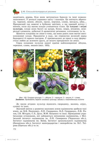 172
çàöâіòàþòü äåðåâà, áіëÿ ÿêèõ ìåòóøàòüñÿ áäæîëè òà іíøі êîìàõè-
çàïèëþâà÷і. Ó ðîçïàëі êàðíàâàë öâіòó і ïàõîùіâ. Öå êâіòíóòü àáðèêî-
ñè, ÷åðåøíі, âèøíі, ÿáëóíі, ãðóøі, ïåðñèêè, ñëèâè, ìèãäàëü, àéâà...
Ïðåêðàñíèé ñàä íàâåñíі â áóéíîìó öâіòіííі, à ùå êðàùèé âëіòêó і
âîñåíè, êîëè ïіä ìàñîþ ïëîäіâ óãèíàþòüñÿ ãіëêè. Öå ïëîäîâі і ÿãіäíі
êóëüòóðè, ïëîäè ÿêèõ áàãàòі íà öóêðè, áіëêè, æèðè, âіòàìіíè, ìіíå-
ðàëüíі åëåìåíòè, äóáèëüíі é àðîìàòè÷íі ðå÷îâèíè, êëіòêîâèíó òà іí.
Öіííіñòü ïëîäîâèõ íå ëèøå â òîìó, ùî âîíè äàþòü íàì ñìà÷íі âèñî-
êîïîæèâíі ïëîäè. Ïðàöþþ÷è â ñàäó, ìè îòðèìóєìî âåëèêèé çàðÿä
áàäüîðîñòі é ãàðíîãî íàñòðîþ. Ó ïðèçâè÷àєíèõ äî ïðàöі â ñàäó ôîðìó-
єòüñÿ ëþáîâ äî çåëåíîãî äðóãà, äî âñüîãî ïðåêðàñíîãî íà çåìëі.
Ñåðåä ïëîäîâèõ êóëüòóð íàøîї êðàїíè íàéïîøèðåíіøі ÿáëóíÿ,
÷åðåøíÿ, ñëèâà, âèøíÿ (ìàë. 185).
Мал. 185. Плодові культури: 1 – яблуня; 2 – черешня; 3 – вишня; 4 – слива.
Завдання. Продовжіть перелік плодових культур, відомих з повсякденного життя
Äî ãðóïè ÿãіäíèõ êóëüòóð âіäíîñÿòü ñìîðîäèíó, ìàëèíó, àґðóñ,
ñóíèöі òà іíøі.
Çíà÷íèé âíåñîê ó ðîçâèòîê íàóêîâèõ îñíîâ ñàäіâíèöòâà çðîáèëè òàêі
â÷åíі, ÿê Â.Â. Ïàøêåâè÷, Ë.Ï. Ñèìèðåíêî, Â.Ë. Ñèìèðåíêî, Ë.Â. Ðè-
òîâ, І.Â. Ìі÷óðіí, Ñ.Õ. Äóêà, Ì.Ô. Êàùåíêî òà іíøі. Ïðîâіäíèìè óêðà-
їíñüêèìè óñòàíîâàìè, ÿêі çàéìàþòüñÿ ïèòàííÿìè ñàäіâíèöòâà, є Ìëі-
їâñüêèé іíñòèòóò ñàäіâíèöòâà іì. Ë.Ï. Ñèìèðåíêà (×åðêàñüêà îáë.),
Іíñòèòóò ñàäіâíèöòâà (ì. Êèїâ), Іíñòèòóò çðîøóâàëüíîãî ñàäіâíèöòâà
(Çàïîðіçüêà îáë.), Іíñòèòóò âèíîãðàäàðñòâà і âèíîðîáñòâà іì. Â.Є. Òàї-
ðîâà (Îäåñüêà îáë.) òà іí.
1
2
3
4
§ 46. Сільськогосподарські рослини
(014-13)_V3.indd 172 14.07.2014 13:13:27
 