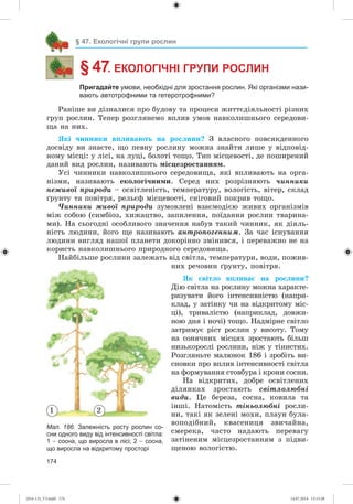 174
§ 47. Екологічні групи рослин
§ 47. ЕКОЛОГІЧНІ ГРУПИ РОСЛИН
Пригадайте умови, необхідні для зростання рослин. Які організми нази-
вають автотрофними та гетеротрофними?
Ðàíіøå âè äіçíàëèñÿ ïðî áóäîâó òà ïðîöåñè æèòòєäіÿëüíîñòі ðіçíèõ
ãðóï ðîñëèí. Òåïåð ðîçãëÿíåìî âïëèâ óìîâ íàâêîëèøíüîãî ñåðåäîâè-
ùà íà íèõ.
ßêі ÷èííèêè âïëèâàþòü íà ðîñëèíè? Ç âëàñíîãî ïîâñÿêäåííîãî
äîñâіäó âè çíàєòå, ùî ïåâíó ðîñëèíó ìîæíà çíàéòè ëèøå ó âіäïîâіä-
íîìó ìіñöі: ó ëіñі, íà ëóöі, áîëîòі òîùî. Òèï ìіñöåâîñòі, äå ïîøèðåíèé
äàíèé âèä ðîñëèí, íàçèâàþòü ìіñöåçðîñòàííÿì.
Óñі ÷èííèêè íàâêîëèøíüîãî ñåðåäîâèùà, ÿêі âïëèâàþòü íà îðãà-
íіçìè, íàçèâàþòü åêîëîãі÷íèìè. Ñåðåä íèõ ðîçðіçíÿþòü ÷èííèêè
íåæèâîї ïðèðîäè – îñâіòëåíіñòü, òåìïåðàòóðó, âîëîãіñòü, âіòåð, ñêëàä
ґðóíòó òà ïîâіòðÿ, ðåëüєô ìіñöåâîñòі, ñíіãîâèé ïîêðèâ òîùî.
×èííèêè æèâîї ïðèðîäè çóìîâëåíі âçàєìîäієþ æèâèõ îðãàíіçìіâ
ìіæ ñîáîþ (ñèìáіîç, õèæàöòâî, çàïèëåííÿ, ïîїäàííÿ ðîñëèí òâàðèíà-
ìè). Íà ñüîãîäíі îñîáëèâîãî çíà÷åííÿ íàáóâ òàêèé ÷èííèê, ÿê äіÿëü-
íіñòü ëþäèíè, éîãî ùå íàçèâàþòü àíòðîïîãåííèì. Çà ÷àñ іñíóâàííÿ
ëþäèíè âèãëÿä íàøîї ïëàíåòè äîêîðіííî çìіíèâñÿ, і ïåðåâàæíî íå íà
êîðèñòü íàâêîëèøíüîãî ïðèðîäíîãî ñåðåäîâèùà.
Íàéáіëüøå ðîñëèíè çàëåæàòü âіä ñâіòëà, òåìïåðàòóðè, âîäè, ïîæèâ-
íèõ ðå÷îâèí ґðóíòó, ïîâіòðÿ.
ßê ñâіòëî âïëèâàє íà ðîñëèíè?
Äіþ ñâіòëà íà ðîñëèíó ìîæíà õàðàêòå-
ðèçóâàòè éîãî іíòåíñèâíіñòþ (íàïðè-
êëàä, ó çàòіíêó ÷è íà âіäêðèòîìó ìіñ-
öі), òðèâàëіñòþ (íàïðèêëàä, äîâæè-
íîþ äíÿ і íî÷і) òîùî. Íàäìіðíå ñâіòëî
çàòðèìóє ðіñò ðîñëèí ó âèñîòó. Òîìó
íà ñîíÿ÷íèõ ìіñöÿõ çðîñòàþòü áіëüø
íèçüêîðîñëі ðîñëèíè, íіæ ó òіíèñòèõ.
Ðîçãëÿíüòå ìàëþíîê 186 і çðîáіòü âè-
ñíîâêè ïðî âïëèâ іíòåíñèâíîñòі ñâіòëà
íà ôîðìóâàííÿ ñòîâáóðà і êðîíè ñîñíè.
Íà âіäêðèòèõ, äîáðå îñâіòëåíèõ
äіëÿíêàõ çðîñòàþòü ñâіòëîëþáíі
âèäè. Öå áåðåçà, ñîñíà, êîâèëà òà
іíøі. Íàòîìіñòü òіíüîëþáíі ðîñëè-
íè, òàêі ÿê çåëåíі ìîõè, ïëàóí áóëà-
âîïîäіáíèé, êâàñåíèöÿ çâè÷àéíà,
ñìåðåêà, ÷àñòî íàäàþòü ïåðåâàãó
çàòіíåíèì ìіñöåçðîñòàííÿì ç ïіäâè-
ùåíîþ âîëîãіñòþ.
Мал. 186. Залежність росту рослин со-
сни одного виду від інтенсивності світла:
1 – сосна, що виросла в лісі; 2 – сосна,
що виросла на відкритому просторі
1 2
(014-13)_V3.indd 174 14.07.2014 13:13:28
 