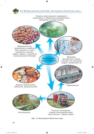 18
§ 4. Методи вивчення організмів. Застосування біологічних знань...
Ðîñëèííèöòâî
Òâàðèííèöòâî
Îõîðîíà íàâêîëèøíüîãî ïðèðîäíîãî
ñåðåäîâèùà òà çáåðåæåííÿ ðіçíîìàíіòíîñòі
îðãàíіçìіâ íà íàøіé ïëàíåòі
Ìåäèöèíà
âèêîðèñòîâóє çíàííÿ
ç áіîëîãії äëÿ ëіêóâàííÿ
õâîðîá і çàïîáіãàííÿ їì
Çàñòîñóâàííÿ
çíàíü ç áіîëîãії
Мал. 19. Застосування біологічних знань
Ñіëüñüêå ãîñïîäàðñòâî
ñòâîðþє âèñîêîïðîäóêòèâíі
ñîðòè ðîñëèí і ïîðîäè òâàðèí
Õàð÷îâà ïðîìèñëîâіñòü
çàáåçïå÷óє ïðîäîâîëüñòâîì
Ôàðìàêîëîãі÷íà
ïðîìèñëîâіñòü âèðîáëÿє
ëіêè, áіëüøіñòü ç ÿêèõ
îòðèìóþòü ç ðîñëèí,
ãðèáіâ, òâàðèí і ç ïðîäóêòіâ
æèòòєäіÿëüíîñòі áàêòåðіé
(014-13)_V1.indd 18 14.07.2014 14:04:50
 