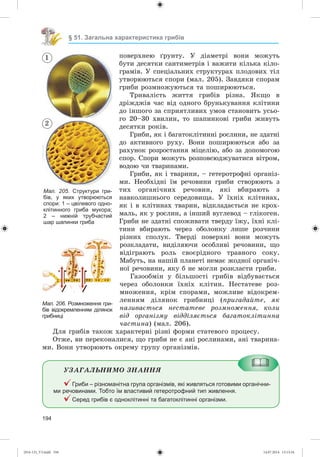 194
§ 51. Загальна характеристика грибів
ïîâåðõíåþ ґðóíòó. Ó äіàìåòðі âîíè ìîæóòü
áóòè äåñÿòêè ñàíòèìåòðіâ і âàæèòè êіëüêà êіëî-
ãðàìіâ. Ó ñïåöіàëüíèõ ñòðóêòóðàõ ïëîäîâèõ òіë
óòâîðþþòüñÿ ñïîðè (ìàë. 205). Çàâäÿêè ñïîðàì
ãðèáè ðîçìíîæóþòüñÿ òà ïîøèðþþòüñÿ.
Òðèâàëіñòü æèòòÿ ãðèáіâ ðіçíà. ßêùî â
äðіæäæіâ ÷àñ âіä îäíîãî áðóíüêóâàííÿ êëіòèíè
äî іíøîãî çà ñïðèÿòëèâèõ óìîâ ñòàíîâèòü óñüî-
ãî 20–30 õâèëèí, òî øàïèíêîâі ãðèáè æèâóòü
äåñÿòêè ðîêіâ.
Ãðèáè, ÿê і áàãàòîêëіòèííі ðîñëèíè, íå çäàòíі
äî àêòèâíîãî ðóõó. Âîíè ïîøèðþþòüñÿ àáî çà
ðàõóíîê ðîçðîñòàííÿ ìіöåëіþ, àáî çà äîïîìîãîþ
ñïîð. Ñïîðè ìîæóòü ðîçïîâñþäæóâàòèñÿ âіòðîì,
âîäîþ ÷è òâàðèíàìè.
Ãðèáè, ÿê і òâàðèíè, – ãåòåðîòðîôíі îðãàíіç-
ìè. Íåîáõіäíі їì ðå÷îâèíè ãðèáè ñòâîðþþòü ç
òèõ îðãàíі÷íèõ ðå÷îâèí, ÿêі âáèðàþòü ç
íàâêîëèøíüîãî ñåðåäîâèùà. Ó їõíіõ êëіòèíàõ,
ÿê і â êëіòèíàõ òâàðèí, âіäêëàäàєòüñÿ íå êðîõ-
ìàëü, ÿê ó ðîñëèí, à іíøèé âóãëåâîä – ãëіêîãåí.
Ãðèáè íå çäàòíі ñïîæèâàòè òâåðäó їæó, їõíі êëі-
òèíè âáèðàþòü ÷åðåç îáîëîíêó ëèøå ðîç÷èíè
ðіçíèõ ñïîëóê. Òâåðäі ïîâåðõíі âîíè ìîæóòü
ðîçêëàäàòè, âèäіëÿþ÷è îñîáëèâі ðå÷îâèíè, ùî
âіäіãðàþòü ðîëü ñâîєðіäíîãî òðàâíîãî ñîêó.
Ìàáóòü, íà íàøіé ïëàíåòі íåìàє æîäíîї îðãàíі÷-
íîї ðå÷îâèíè, ÿêó á íå ìîãëè ðîçêëàñòè ãðèáè.
Ãàçîîáìіí ó áіëüøîñòі ãðèáіâ âіäáóâàєòüñÿ
÷åðåç îáîëîíêè їõíіõ êëіòèí. Íåñòàòåâå ðîç-
ìíîæåííÿ, êðіì ñïîðàìè, ìîæëèâå âіäîêðåì-
ëåííÿì äіëÿíîê ãðèáíèöі (ïðèãàäàéòå, ÿê
íàçèâàєòüñÿ íåñòàòåâå ðîçìíîæåííÿ, êîëè
âіä îðãàíіçìó âіääіëÿєòüñÿ áàãàòîêëіòèííà
÷àñòèíà) (ìàë. 206).
Äëÿ ãðèáіâ òàêîæ õàðàêòåðíі ðіçíі ôîðìè ñòàòåâîãî ïðîöåñó.
Îòæå, âè ïåðåêîíàëèñÿ, ùî ãðèáè íå є àíі ðîñëèíàìè, àíі òâàðèíà-
ìè. Âîíè óòâîðþþòü îêðåìó ãðóïó îðãàíіçìіâ.
ÓÇÀÃÀËÜÍÈÌÎ ÇÍÀÍÍß
Гриби – різноманітна група організмів, які живляться готовими органічни-
ми речовинами. Тобто їм властивий гетеротрофний тип живлення.
Серед грибів є одноклітинні та багатоклітинні організми.
Мал. 206. Розмноження гри-
бів відокремленням ділянок
грибниці
Мал. 205. Структури гри-
бів, у яких утворюються
спори: 1 – цвілевого одно-
клітинного гриба мукора;
2 – нижній трубчастий
шар шапинки гриба
1
2
(014-13)_V3.indd 194 14.07.2014 13:13:34
 
