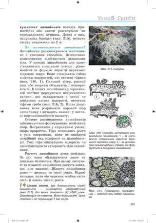 Тема
201
êóùèñòèõ ëèøàéíèêіâ íàãàäóє ïðÿ-
ìîñòіéíі àáî çâèñëі ðîçãàëóæåíі ÷è
íåðîçãàëóæåíі êóùèêè. Äåÿêі ç íèõ,
íàïðèêëàä áîðîäà÷ (ìàë. 215), ìîæóòü
ñÿãàòè çàâäîâæêè äî 2 ì.
ßê ðîçìíîæóþòüñÿ ëèøàéíèêè?
Ëèøàéíèêè ðîçìíîæóþòüñÿ âåãåòàòèâ-
íî і ñòàòåâèì ñïîñîáîì. Âåãåòàòèâíå
ðîçìíîæåííÿ âіäáóâàєòüñÿ äіëÿíêàìè
òіëà. Ó äåÿêèõ ëèøàéíèêіâ äëÿ öüîãî
ç’ÿâëÿþòüñÿ ñïåöіàëüíі óòâîðè: ðіçíî-
ìàíіòíі çà ôîðìîþ âèðîñòè âåðõíüîãî
êîðîâîãî øàðó. Âîíè ñòàíîâëÿòü ñîáîþ
êëіòèíè âîäîðîñòåé, ÿêі îòî÷åíі ãіôàìè
(ìàë. 216, 1). Ñèëüíèé âіòåð, ðÿñíèé
äîù àáî òâàðèíè îáëàìóþòü і ïîøèðþ-
þòü їõ. Â іíøèõ ëèøàéíèêіâ ó ñåðöåâèí-
íіé ÷àñòèíі ôîðìóþòüñÿ ìіêðîñêîïі÷íі
êóëüêè, ÿêі ñêëàäàþòüñÿ ç îäíієї ÷è
äåêіëüêîõ êëіòèí âîäîðîñòі, îòî÷åíèõ
ãіôàìè ãðèáà (ìàë. 216, 2). Ïіñëÿ äîçðі-
âàííÿ âîíè ðîçðèâàþòü êîðîâèé øàð
ëèøàéíèêó і âèõîäÿòü íàçîâíі ó âèãëÿ-
äі ïîðîøêîïîäіáíîãî íàëüîòó.
Ñòàòåâå ðîçìíîæåííÿ ëèøàéíèêіâ
çàáåçïå÷óєòüñÿ ôîðìóâàííÿì îñîáëèâèõ
ñïîð. Ïîòðàïèâøè ó ñïðèÿòëèâі óìîâè,
ñïîðà ïðîðîñòàє. Ãіôè ïî÷èíàþòü ðîñòè
â óñіõ íàïðÿìêàõ, äîêè íå çíàéäóòü
ïîòðіáíèé âèä âîäîðîñòі ÷è öіàíîáàêòå-
ðії. Òîäі ãіôè îáïëóòóþòü âîäîðіñòü ÷è
öіàíîáàêòåðіþ òà óòâîðþþòü òіëî ëèøàé-
íèêó.
Ðîñòóòü ëèøàéíèêè äóæå ïîâіëüíî.
Çà ðіê âîíè çáіëüøóþòüñÿ ëèøå íà
äåêіëüêà ìіëіìåòðіâ. Ïðè öüîìó ëèñòóâà-
òі òà êóùèñòі ëèøàéíèêè ðîñòóòü øâèä-
øå, íіæ íàêèïíі. Æèâóòü ëèøàéíèêè
äîâãî – äåñÿòêè òà ñîòíі ðîêіâ. Âіäîìі
âèïàäêè, êîëè âіê îêðåìèõ îñîáèí ñÿãàâ
ñîòíі é íàâіòü òèñÿ÷і ðîêіâ.
! Цікаво знати, що довгожитель серед
лишайників – ризокарпон географічний
(мал. 217). Він може доживати до 4500 років.
Оселяється на каменях. Його тіло росте дуже
повільно і не перевищує 1 мм за рік.
Мал. 217. Ризокарпон географіч-
ний – довгожитель серед лишайни-
ків
Мал. 215. Бородач
Мал. 216. Способи нестатевого роз-
множення лишайників: 1 – за допо-
могою спеціальних виростів верх-
нього корового шару; 2 – за допомо-
гою кулькоподібних утворів, які фор-
муються в серцевині лишайників
1
2
(014-13)_V3.indd 201 14.07.2014 13:13:36
 