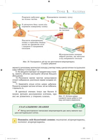 31
зернисту цитоплазму золотистого кольору у вигляді тяжів у центрі клітини та суцільного
шару поблизу її стінок (мал. 31).
9. Не зміщуючи препарат на предметному столи-
ку, замініть об’єктив (застосуйте об’єктив більшого
збільшення).
10. Регулюючи малим гвинтом налаштування
чіткості зображення, розгляньте окремі складові клі-
тини.
11. Замалюйте кілька клітин шкірки цибулини.
Позначте складові частини клітини, які ви побачили,
і підпишіть їх.
Â àðñåíàëі â÷åíèõ іñíóє ùå áàãàòî é
іíøèõ ìåòîäіâ äîñëіäæåííÿ êëіòèíè, ïðî
ÿêі âè äіçíàєòåñü ó ñòàðøèõ êëàñàõ.
ÓÇÀÃÀËÜÍÈÌÎ ÇÍÀÍÍß
Метод виготовлення тимчасових мікропрепаратів дає змогу вивчати про-
цеси життєдіяльності клітин.
Ïîïîâíіòü ñâіé áіîëîãі÷íèé ñëîâíèê: òèì÷àñîâі ìіêðîïðåïàðàòè,
ïîñòіéíі ìіêðîïðåïàðàòè.
Мал. 31. Клітини шкірки
соковитої луски цибулі в полі
зору світлового мікроскопа
Мал. 30. Послідовність дій під час виготовлення мікропрепарату
зі шкірки цибулини
Ðîçðіçàòè öèáóëèíó
íà êіëüêà ÷àñòèí
Ç óâіãíóòîãî áîêó ëóñêè âіä-
îêðåìèòè ïîâåðõíåâó ïëіâêó
Ïîêëàñòè âіäîêðåìëåíó
ïëіâêó â êðàïëèíó éîäèäó
êàëіþ íà ïðåäìåòíå ñêëî
і íàêðèòè її íàêðèâíèì
ñêåëüöåì
Ôіëüòðóâàëüíèì ïàïåðîì
çіáðàòè ðîç÷èí, ùî âèñòóïàє
ç-ïіä íàêðèâíîãî ñêåëüöÿ
Âіäîêðåìèòè ñîêîâèòó ëóñêó
Ïîäіëèòè ëóñêó
íà ÷àñòèíè
(014-13)_V1.indd 31 14.07.2014 14:04:53
 