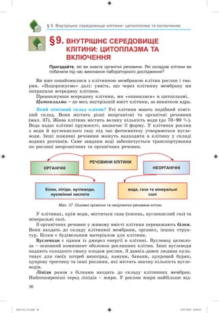 36
§ 9. Внутрішнє середовище клітини: цитоплазма та включення
§ 9. ВНУТРІШНЄ СЕРЕДОВИЩЕ
КЛІТИНИ: ЦИТОПЛАЗМА ТА
ВКЛЮЧЕННЯ
Пригадайте, які ви знаєте органічні речовини. Які складові клітини ви
побачили під час виконання лабораторного дослідження?
Âè âæå îçíàéîìèëèñÿ ç êëіòèííîþ ìåìáðàíîþ êëіòèí ðîñëèí і òâà-
ðèí. «Ïîäîðîæóєìî» äàëі: óÿâіòü, ùî ÷åðåç êëіòèííó ìåìáðàíó ìè
ïîòðàïèëè âñåðåäèíó êëіòèíè.
Ïðîíèêíóâøè âñåðåäèíó êëіòèíè, ìè «îïèíèëèñÿ» â öèòîïëàçìі.
Öèòîïëàçìà – öå âåñü âíóòðіøíіé âìіñò êëіòèíè, çà âèíÿòêîì ÿäðà.
ßêèé õіìі÷íèé ñêëàä êëіòèí? Óñі êëіòèíè ìàþòü ïîäіáíèé õіìі÷-
íèé ñêëàä. Âîíè ìіñòÿòü ðіçíі íåîðãàíі÷íі òà îðãàíі÷íі ðå÷îâèíè
(ìàë. 37). Æèâà êëіòèíà ìіñòèòü âåëèêó êіëüêіñòü âîäè (äî 70–90 %).
Âîäà íàäàє êëіòèíі ïðóæíîñòі, âèçíà÷àє її ôîðìó. Ó êëіòèíàõ ðîñëèí
ç âîäè é âóãëåêèñëîãî ãàçó ïіä ÷àñ ôîòîñèíòåçó óòâîðþþòüñÿ âóãëå-
âîäè. Іíøі ïîæèâíі ðå÷îâèíè ìîæóòü íàäõîäèòè â êëіòèíó ó ñêëàäі
âîäíèõ ðîç÷èíіâ. Ñàìå çàâäÿêè âîäі çàáåçïå÷óєòüñÿ òðàíñïîðòóâàííÿ
ïî ðîñëèíі íåîðãàíі÷íèõ òà îðãàíі÷íèõ ðå÷îâèí.
РЕЧОВИНИ КЛІТИНИ
ОРГАНІЧНІ
білки, ліпіди, вуглеводи,
нуклеїнові кислоти
НЕОРГАНІЧНІ
вода, гази та мінеральні
солі
Мал. 37. Основні органічні та неорганічні речовини клітин
Ó êëіòèíàõ, êðіì âîäè, ìіñòÿòüñÿ ãàçè (êèñåíü, âóãëåêèñëèé ãàç) òà
ìіíåðàëüíі ñîëі.
Ç îðãàíі÷íèõ ðå÷îâèí ó æèâîìó âìіñòі êëіòèíè ïåðåâàæàþòü áіëêè.
Âîíè âõîäÿòü äî ñêëàäó êëіòèííîї ìåìáðàíè, îðãàíåë, іíøèõ ñòðóê-
òóð. Áіëêè є áóäіâåëüíèì ìàòåðіàëîì äëÿ êëіòèíè.
Âóãëåâîäè є îäíèì іç äæåðåë åíåðãії â êëіòèíі. Âóãëåâîä öåëþëî-
çà – îñíîâíèé êîìïîíåíò îáîëîíîê ðîñëèííèõ êëіòèí. Іíøі âóãëåâîäè
íàäàþòü ñîëîäêîãî ñìàêó ïëîäàì ðîñëèí. Ç äàâíіõ-äàâåí ëþäèíà êóëü-
òèâóє äëÿ ñâîїõ ïîòðåá âèíîãðàä, êàâóíè, áàíàíè, öóêðîâèé áóðÿê,
öóêðîâó òðîñòèíó òà іíøі ðîñëèíè, ÿêі ìіñòÿòü çíà÷íó êіëüêіñòü âóãëå-
âîäіâ.
Ëіïіäè ðàçîì ç áіëêàìè âõîäÿòü äî ñêëàäó êëіòèííèõ ìåìáðàí.
Íàéïîøèðåíіøі ñåðåä ëіïіäіâ – æèðè. Ó ðîñëèí æèðè íàéáіëüøå âіä-
(014-13)_V1.indd 36 14.07.2014 14:04:55
 