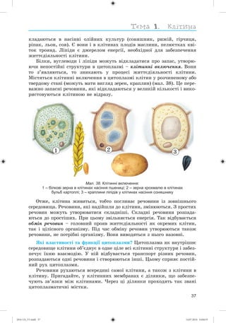 37
êëàäàþòüñÿ â íàñіííі îëіéíèõ êóëüòóð (ñîíÿøíèê, ðèæіé, ãіð÷èöÿ,
ðіïàê, ëüîí, ñîÿ). Є âîíè і â êëіòèíàõ ïëîäіâ ìàñëèíè, ïåëþñòêàõ êâі-
òîê òðîÿíä. Ëіïіäè є äæåðåëîì åíåðãії, íåîáõіäíîї äëÿ çàáåçïå÷åííÿ
æèòòєäіÿëüíîñòі êëіòèíè.
Áіëêè, âóãëåâîäè і ëіïіäè ìîæóòü âіäêëàäàòèñÿ ïðî çàïàñ, óòâîðþ-
þ÷è íåïîñòіéíі ñòðóêòóðè â öèòîïëàçìі – êëіòèííі âêëþ÷åííÿ. Âîíè
òî ç’ÿâëÿþòüñÿ, òî çíèêàþòü ó ïðîöåñі æèòòєäіÿëüíîñòі êëіòèíè.
Ìіñòÿòüñÿ êëіòèííі âêëþ÷åííÿ â öèòîïëàçìі êëіòèí ó ðîç÷èíåíîìó àáî
òâåðäîìó ñòàíі (ìîæóòü ìàòè âèãëÿä çåðåí, êðàïëèí) (ìàë. 38). Öå ïåðå-
âàæíî çàïàñíі ðå÷îâèíè, ÿêі âіäêëàäàþòüñÿ ó âåëèêіé êіëüêîñòі і âèêî-
ðèñòîâóþòüñÿ êëіòèíîþ íå âіäðàçó.
21 3
Мал. 38. Клітинні включення:
1 – білкові зерна в клітинах насіння пшениці; 2 – зерна крохмалю в клітинах
бульб картоплі; 3 – краплини ліпідів у клітинах насіння соняшнику
Îòæå, êëіòèíà æèâèòüñÿ, òîáòî ïîãëèíàє ðå÷îâèíè іç çîâíіøíüîãî
ñåðåäîâèùà. Ðå÷îâèíè, ÿêі íàäіéøëè äî êëіòèíè, çìіíþþòüñÿ. Ç ïðîñòèõ
ðå÷îâèí ìîæóòü óòâîðþâàòèñÿ ñêëàäíіøі. Ñêëàäíі ðå÷îâèíè ðîçïàäà-
þòüñÿ äî ïðîñòіøèõ. Ïðè öüîìó çâіëüíÿєòüñÿ åíåðãіÿ. Òàê âіäáóâàєòüñÿ
îáìіí ðå÷îâèí – ãîëîâíèé ïðîÿâ æèòòєäіÿëüíîñòі ÿê îêðåìèõ êëіòèí,
òàê і öіëіñíîãî îðãàíіçìó. Ïіä ÷àñ îáìіíó ðå÷îâèí óòâîðþþòüñÿ òàêîæ
ðå÷îâèíè, íå ïîòðіáíі îðãàíіçìó. Âîíè âèâîäÿòüñÿ ç íüîãî íàçîâíі.
ßêі âëàñòèâîñòі òà ôóíêöії öèòîïëàçìè? Öèòîïëàçìà ÿê âíóòðіøíє
ñåðåäîâèùå êëіòèíè îá’єäíóє â îäíå öіëå âñі êëіòèííі ñòðóêòóðè і çàáåç-
ïå÷óє їõíþ âçàєìîäіþ. Ó íіé âіäáóâàєòüñÿ òðàíñïîðò ðіçíèõ ðå÷îâèí,
ðîçïàäàþòüñÿ îäíі ðå÷îâèíè і ñòâîðþþòüñÿ іíøі. Öüîìó ñïðèÿє ïîñòіé-
íèé ðóõ öèòîïëàçìè.
Ðå÷îâèíè ðóõàþòüñÿ âñåðåäèíі ñàìîї êëіòèíè, à òàêîæ ç êëіòèíè â
êëіòèíó. Ïðèãàäàéòå, ó êëіòèííèõ ìåìáðàíàõ є äіëÿíêè, ùî çàáåçïå-
÷óþòü çâ’ÿçêè ìіæ êëіòèíàìè. ×åðåç öі äіëÿíêè ïðîõîäÿòü òàê çâàíі
öèòîïëàçìàòè÷íі ìіñòêè.
(014-13)_V1.indd 37 14.07.2014 14:04:55
 