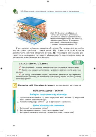 38
§ 9. Внутрішнє середовище клітини: цитоплазма та включення
Ó öèòîïëàçìі êëіòèíè є ñâîєðіäíèé ñêåëåò. Öå ñèñòåìà ìіêðîñêîïі÷-
íèõ áіëêîâèõ òðóáî÷îê і íèòîê (ìàë. 39). Òîíåíüêі áіëêîâі âîëîêíà
äîïîìàãàþòü êëіòèíі çáåðіãàòè ôîðìó. Öі ñòðóêòóðè íåìîæëèâî ðîç-
ãëÿíóòè çà äîïîìîãîþ ñâіòëîâîãî ìіêðîñêîïà, їõ äîñëіäæóþòü ëèøå çà
äîïîìîãîþ åëåêòðîííîãî ìіêðîñêîïà.
ÓÇÀÃÀËÜÍÈÌÎ ÇÍÀÍÍß
Внутрішній вміст клітини, за винятком ядра, називають цитоплазмою.
За хімічним складом цитоплазма – це розчин неорганічних та органічних
речовин.
До складу цитоплазми входять різноманітні включення. Це переважно
запасні поживні речовини, які відкладаються в клітині у великій кількості у вигляді
зерен або краплин.
Ïîïîâíіòü ñâіé áіîëîãі÷íèé ñëîâíèê: öèòîïëàçìà, âêëþ÷åííÿ.
ПЕРЕВІРТЕ ЗДОБУТІ ЗНАННЯ
Виберіть одну правильну відповідь
1. Цитоплазмою називають: а) увесь внутрішній вміст клітини; б) внутрішній
вміст клітини, за винятком ядра.
2. Непостійні структури клітини – це: а) органели; б) включення.
Дайте відповідь на запитання
1. Які функції цитоплазми в клітині?
2. Які речовини входять до складу цитоплазми клітини?
3. Які функції скелета цитоплазми клітини? Із чого він складається?
Мал. 39. Схематичне зображення
«клітинного скелета» в цитоплазмі.
Знайдіть на малюнку його елементи:
мікроскопічні трубочки (1) та нитки (2).
Зверніть увагу на те, як елементи
клітинного скелета закріплюють
у певному положенні органелу (3)
3
2
1
(014-13)_V1.indd 38 14.07.2014 14:04:55
 