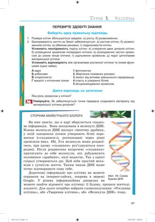47
ПЕРЕВІРТЕ ЗДОБУТІ ЗНАННЯ
Виберіть одну правильну відповідь
1. Розміри клітин збільшуються завдяки: а) росту; б) розмноженню.
2. Безперервність життя на Землі забезпечується: а) ростом клітин; б) розмно-
женням клітин; в) обміном речовин; г) подразливістю клітин.
Установіть послідовність поділу клітин: а) утворення двох дочірніх клітин;
б) розміщення хромосом посередині клітини; в) розходження частин хромо-
сом до різних кінців клітини; г) ущільнення хромосом; д) поділ цитоплазми
материнської клітини.
Установіть відповідність між органелами рослинної клітини та їхніми функ-
ціями (одна зайва).
А ядро
Б рибосоми
В хлоропласти
Г вакуолі з клітинним соком
1 фотосинтез
2 зберігання поживних речовин
3 захист від впливів зовнішнього середовища
4 участь в утворенні білків
5 місцезнаходження хромосом
Дайте відповідь на запитання
Яка роль хромосом у клітині?
Поміркуйте. Як забезпечується точна передача спадкового матеріалу від
материнської клітини дочірнім?
СТОРІНКА МАЙБУТНЬОГО БІОЛОГА
Âè âæå çíàєòå, ùî â ÿäðі çáåðіãàєòüñÿ ñïàäêî-
âà іíôîðìàöіÿ. Âîíà çàêîäîâàíà â ìîëåêóëі ÄÍÊ.
Êîæíà ìîëåêóëà ÄÍÊ íàãàäóє ãâèíòîâó äðàáèíó,
ó ÿêіé ëàíöþæêè àòîìіâ óòâîðþþòü áі÷íі ïåðå-
ìè÷êè («ñõîäèíêè»), ðîçòàøîâàíі ÷åðåç ðіâíі
ïðîìіæêè (ìàë. 49). Óñÿ ìîëåêóëà ìîæå ðîçäâîї-
òèñÿ, ïðè öüîìó «ñõîäèíêè» ðîç’єäíóþòüñÿ ïîñå-
ðåäèíі. Ïіñëÿ ðîçäâîєííÿ âêîðî÷åíі «ñõîäèíêè»
ïðèòÿãóþòü äî ñåáå ìîëåêóëè, ÿêі äîáóäîâóþòü
ïîëîâèíêè «äðàáèíè», ÿêîї íåäîñòàє. Òàê ç îäíієї
ñïіðàëі óòâîðþþòüñÿ äâі. Öåé íіáè ïðîñòèé ìåõà-
íіçì є ñóòíіñòþ æèòòÿ. Òàêèì ÷èíîì ÄÍÊ ìîæå
òî÷íî âіäòâîðþâàòè ñàìó ñåáå.
Äîäàòêîâó іíôîðìàöіþ ïðî êëіòèíó âè ìîæåòå
îòðèìàòè íà іíòåðíåò-ñàéòàõ, çîêðåìà â ìåðåæі
Google. Ó ðіçíèõ іíôîðìàöіéíèõ äæåðåëàõ âè
ìîæåòå çíàéòè âіäîìîñòі ïðî êëіòèíó: її áóäîâó, ïðîöåñè æèòòєäі-
ÿëüíîñòі. Äëÿ öüîãî ïîòðіáíî íàáðàòè ñëîâîñïîëó÷åííÿ: «Ðîñëèííà
êëіòèíà», àáî «Òâàðèííà êëіòèíà», àáî «Ìîëåêóëà ÄÍÊ» òîùî.
Мал. 49. Схема
будови ДНК
(014-13)_V1.indd 47 14.07.2014 14:04:57
 