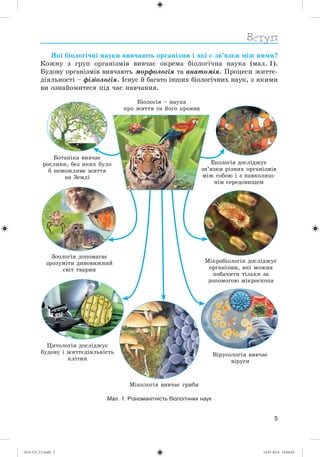 5
ßêі áіîëîãі÷íі íàóêè âèâ÷àþòü îðãàíіçìè і ÿêі є çâ’ÿçêè ìіæ íèìè?
Êîæíó ç ãðóï îðãàíіçìіâ âèâ÷àє îêðåìà áіîëîãі÷íà íàóêà (ìàë. 1).
Áóäîâó îðãàíіçìіâ âèâ÷àþòü ìîðôîëîãіÿ òà àíàòîìіÿ. Ïðîöåñè æèòòє-
äіÿëüíîñòі – ôіçіîëîãіÿ. Іñíóє é áàãàòî іíøèõ áіîëîãі÷íèõ íàóê, ç ÿêèìè
âè îçíàéîìèòåñÿ ïіä ÷àñ íàâ÷àííÿ.
Âіðóñîëîãіÿ âèâ÷àє
âіðóñè
Öèòîëîãіÿ äîñëіäæóє
áóäîâó і æèòòєäіÿëüíіñòü
êëіòèí
Çîîëîãіÿ äîïîìàãàє
çðîçóìіòè äèâîâèæíèé
ñâіò òâàðèí
Åêîëîãіÿ äîñëіäæóє
çâ’ÿçêè ðіçíèõ îðãàíіçìіâ
ìіæ ñîáîþ і ç íàâêîëèø-
íіì ñåðåäîâèùåì
Áіîëîãіÿ – íàóêà
ïðî æèòòÿ òà éîãî ïðîÿâè
Ìіêðîáіîëîãіÿ äîñëіäæóє
îðãàíіçìè, ÿêі ìîæíà
ïîáà÷èòè òіëüêè çà
äîïîìîãîþ ìіêðîñêîïà
Ìіêîëîãіÿ âèâ÷àє ãðèáè
Áîòàíіêà âèâ÷àє
ðîñëèíè, áåç ÿêèõ áóëî
á íåìîæëèâå æèòòÿ
íà Çåìëі
Мал. 1. Різноманітність біологічних наук
(014-13)_V1.indd 5 14.07.2014 14:04:45
 
